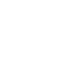 Twitter Link Icon